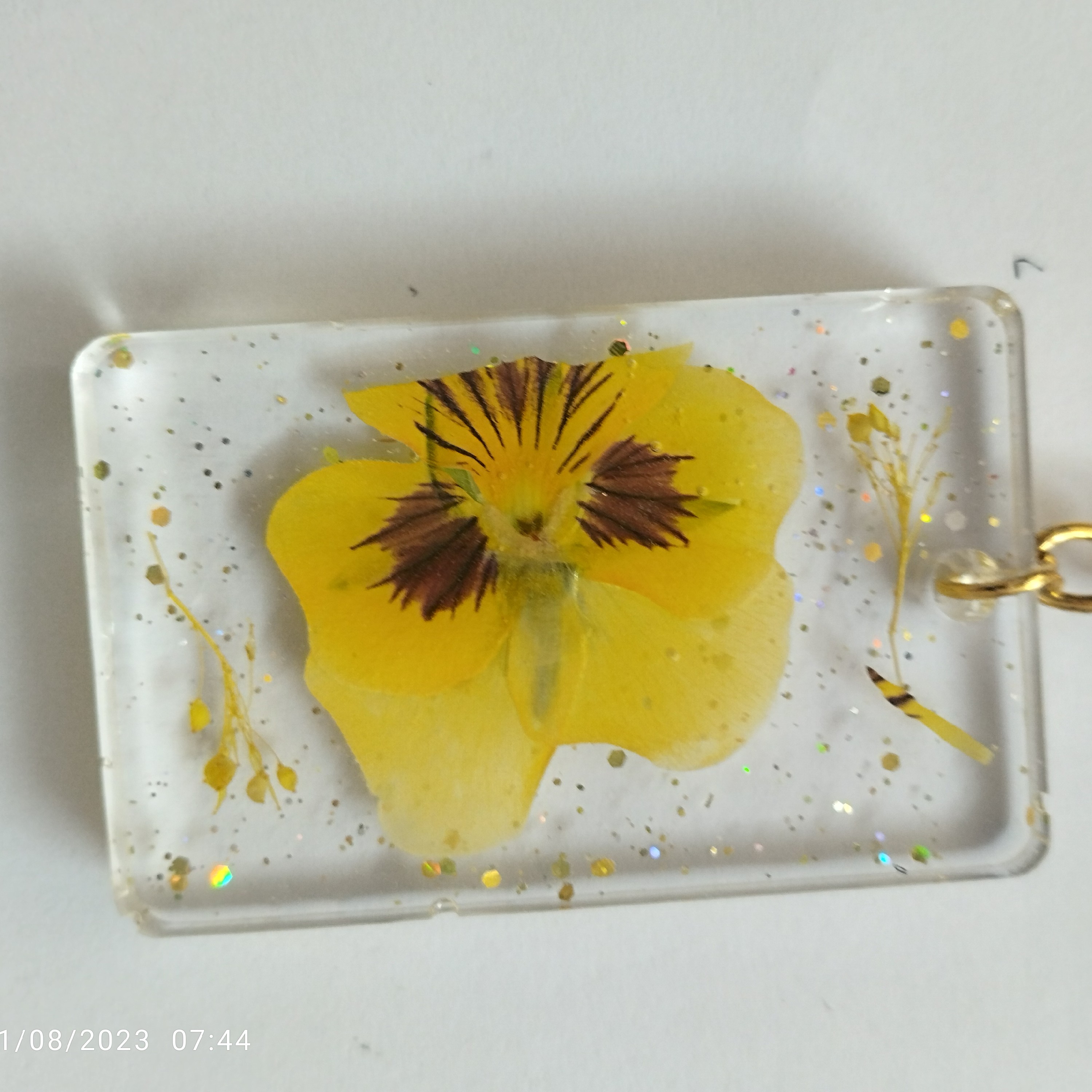 جاسوئیچی رزینی