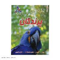 100 حقیقت درباره (پرندگان) - کتاب‌فروشی کوچه کتاب