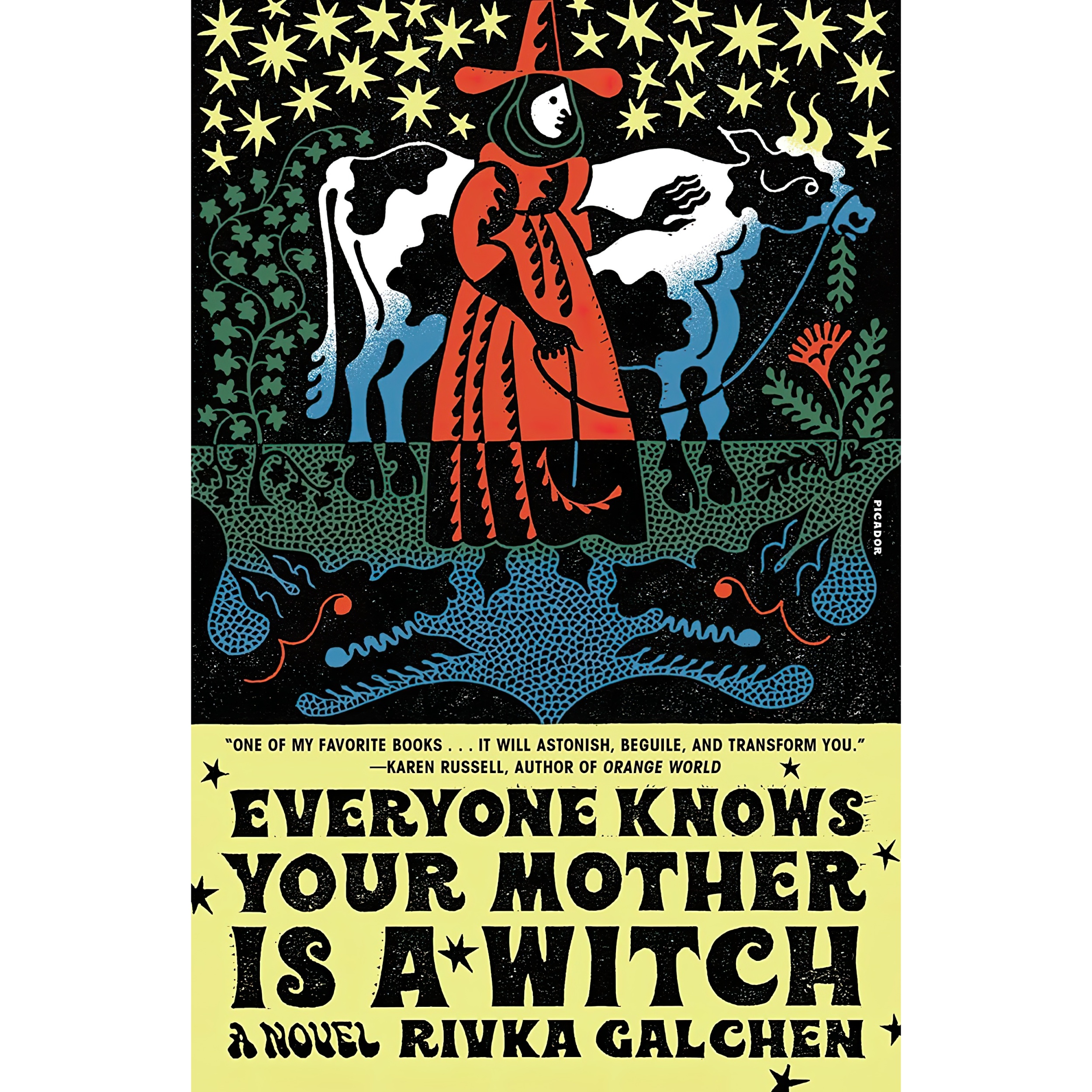 کتاب Everyone Knows Your Mother Is a Witch اثر Rivka Galchen انتشارات Picador Paper