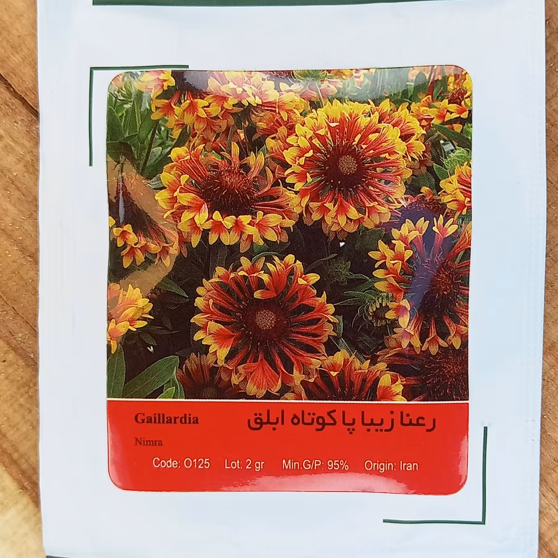 بذر گل رعنا زیبا پاکوتاه ابلق 