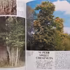 كتاب The Ever-changing Woodlands اثر جمعي از نويسندگان انتشارات The Living Countryside