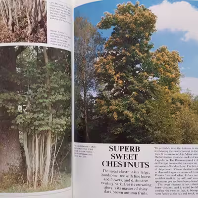 كتاب The Ever-changing Woodlands اثر جمعي از نويسندگان انتشارات The Living Countryside