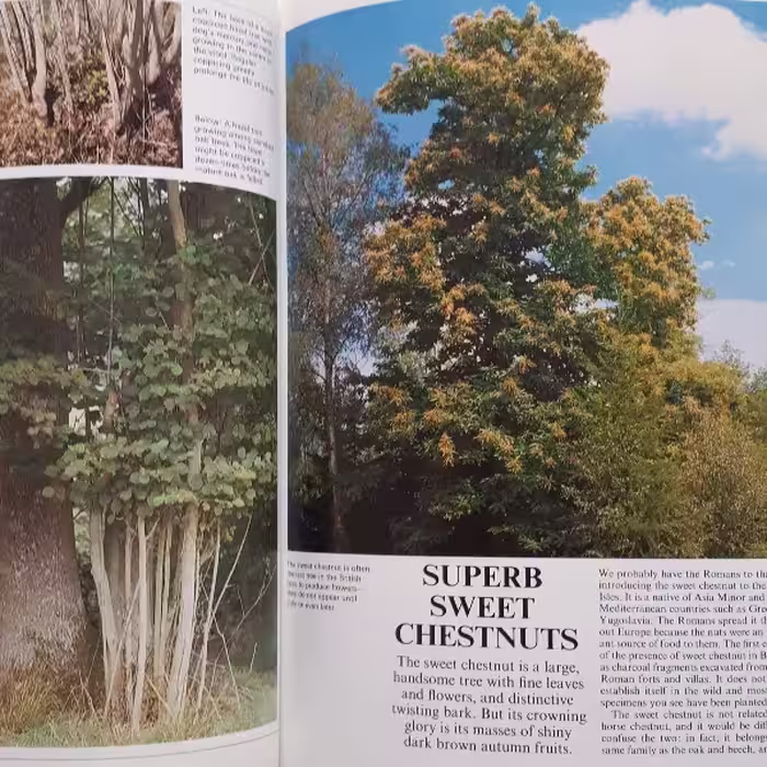 كتاب The Ever-changing Woodlands اثر جمعي از نويسندگان انتشارات The Living Countryside