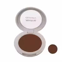 سایه چشم فستیوال شماره 20F