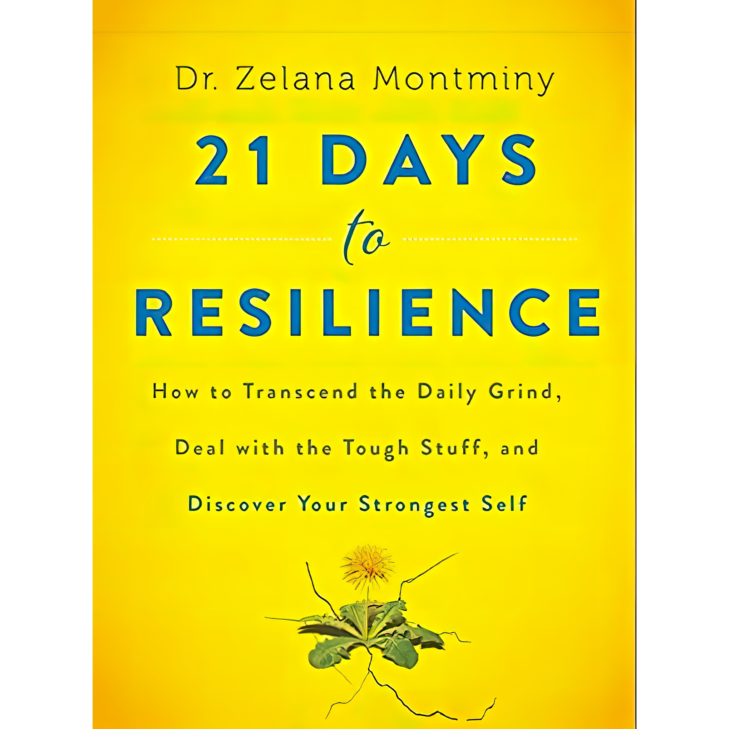 کتاب 21 Days to Resilience اثر Zelana Montminy انتشارات HarperOne