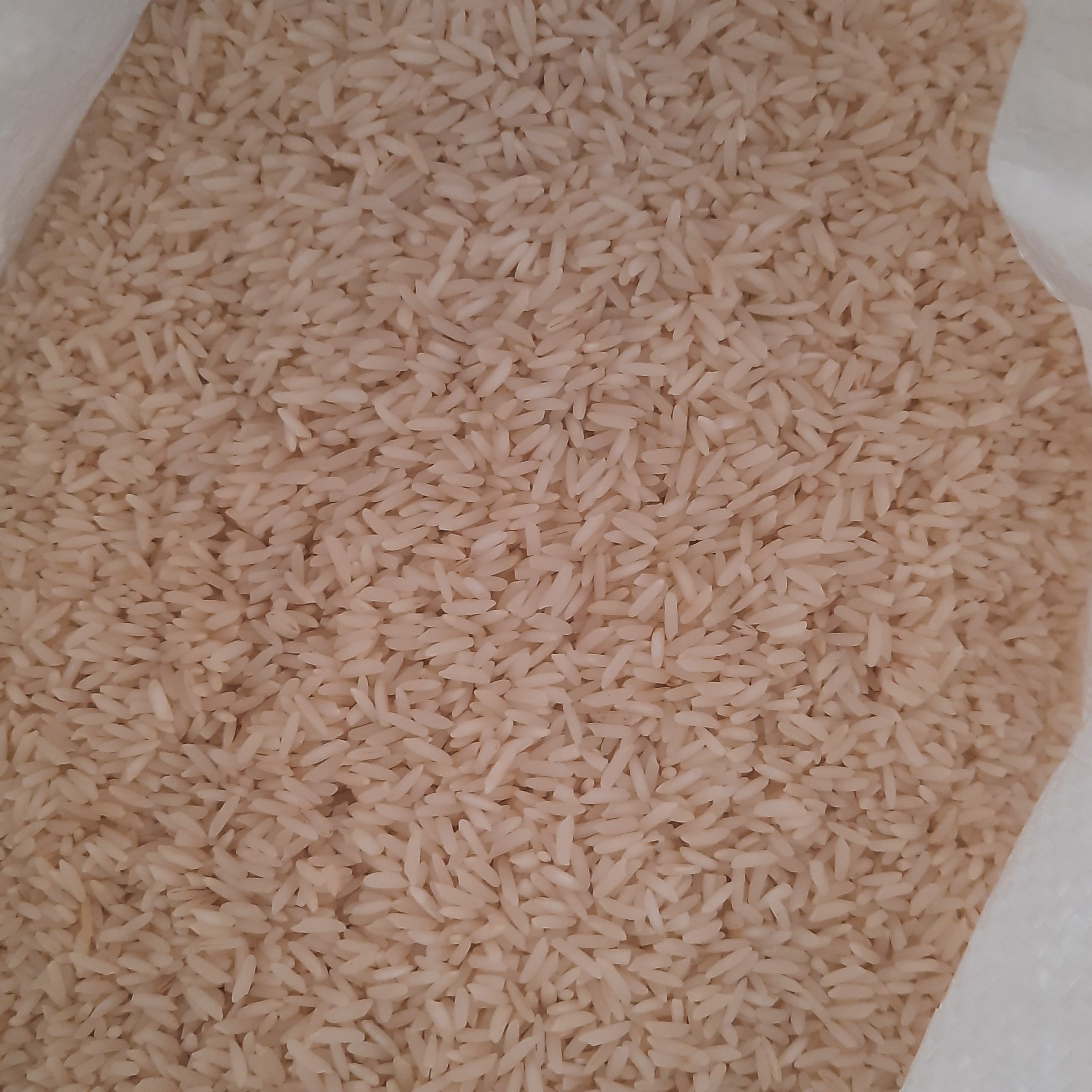 برنج طارم هاشمی بوجاری شده 50000گرمی
