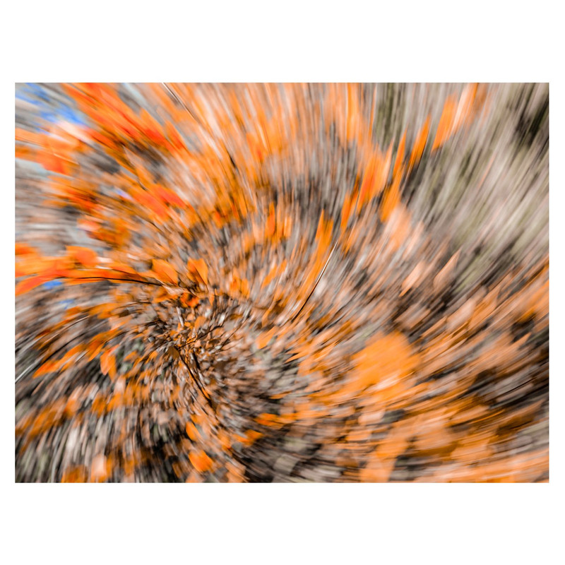 تابلو شاسی آپیا مدل گردش موهوم | دنیای قاب