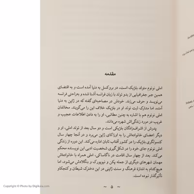 کتاب ریش آبی اثر املی نوتوم نشر نو