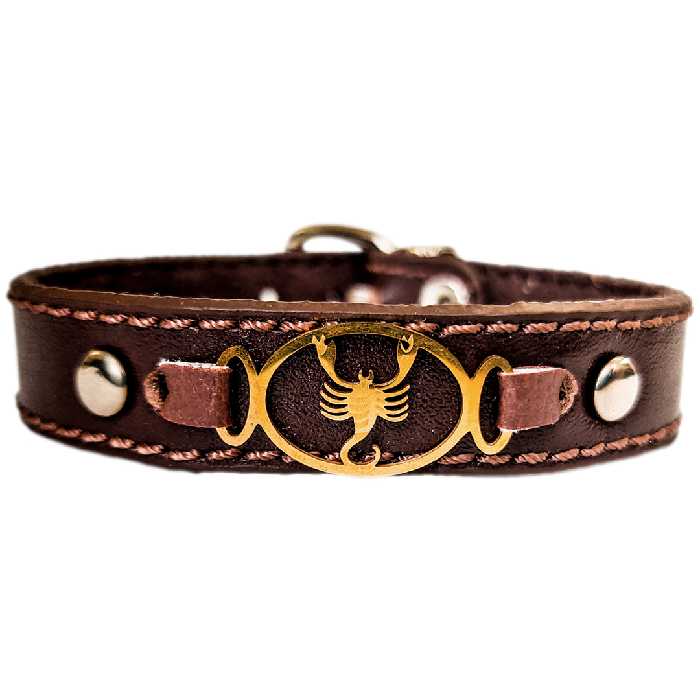 دستبند چرم وارک طرح نماد ماه آبان مدل برسام کد rb242