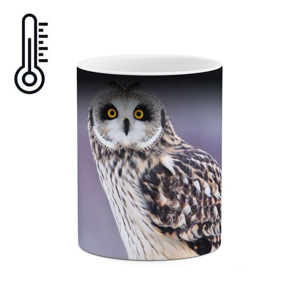 ماگ حرارتی طرح جغد مدل mgph01523