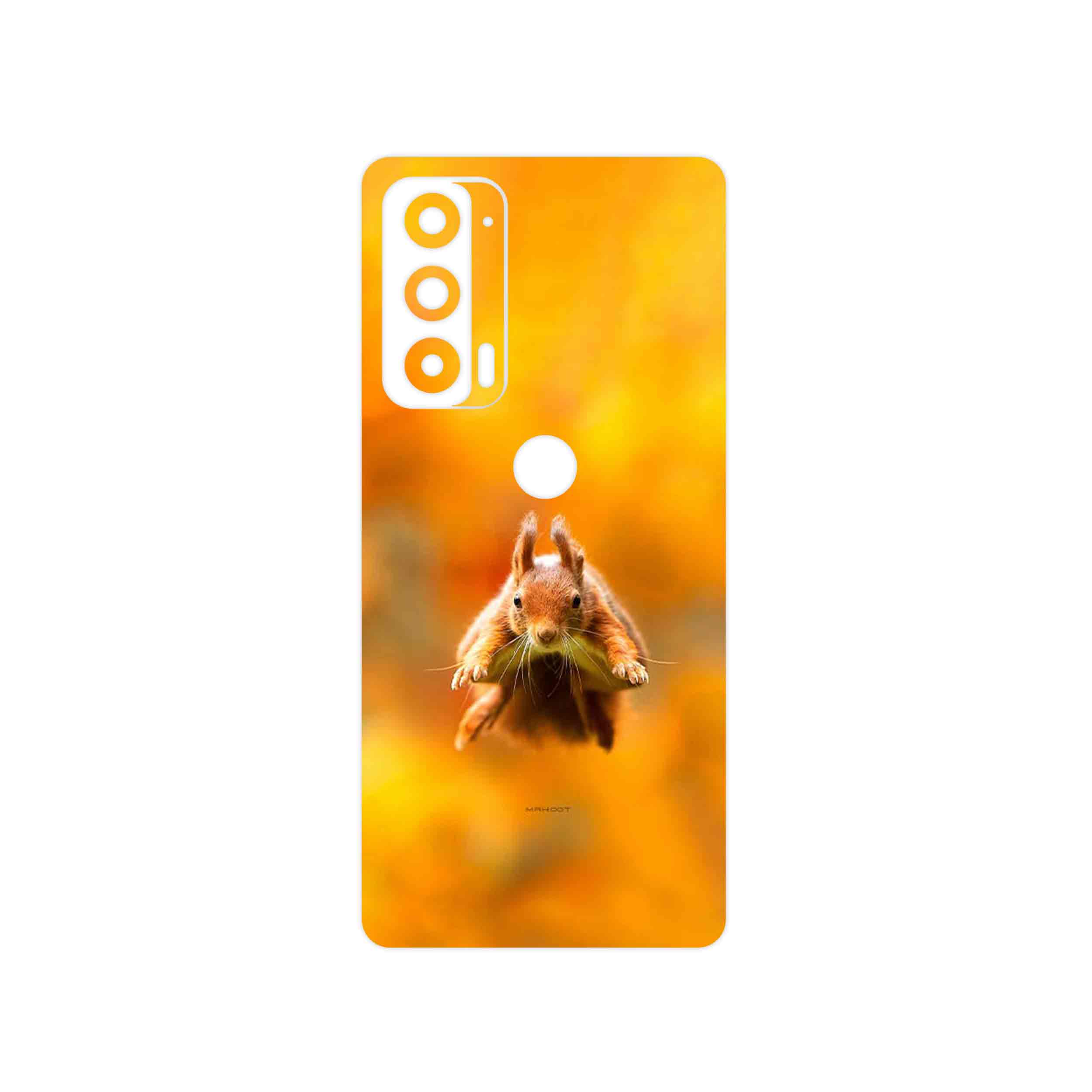 برچسب پوششی ماهوت مدل Squirrel مناسب برای گوشی موبایل موتورولا Edge 20