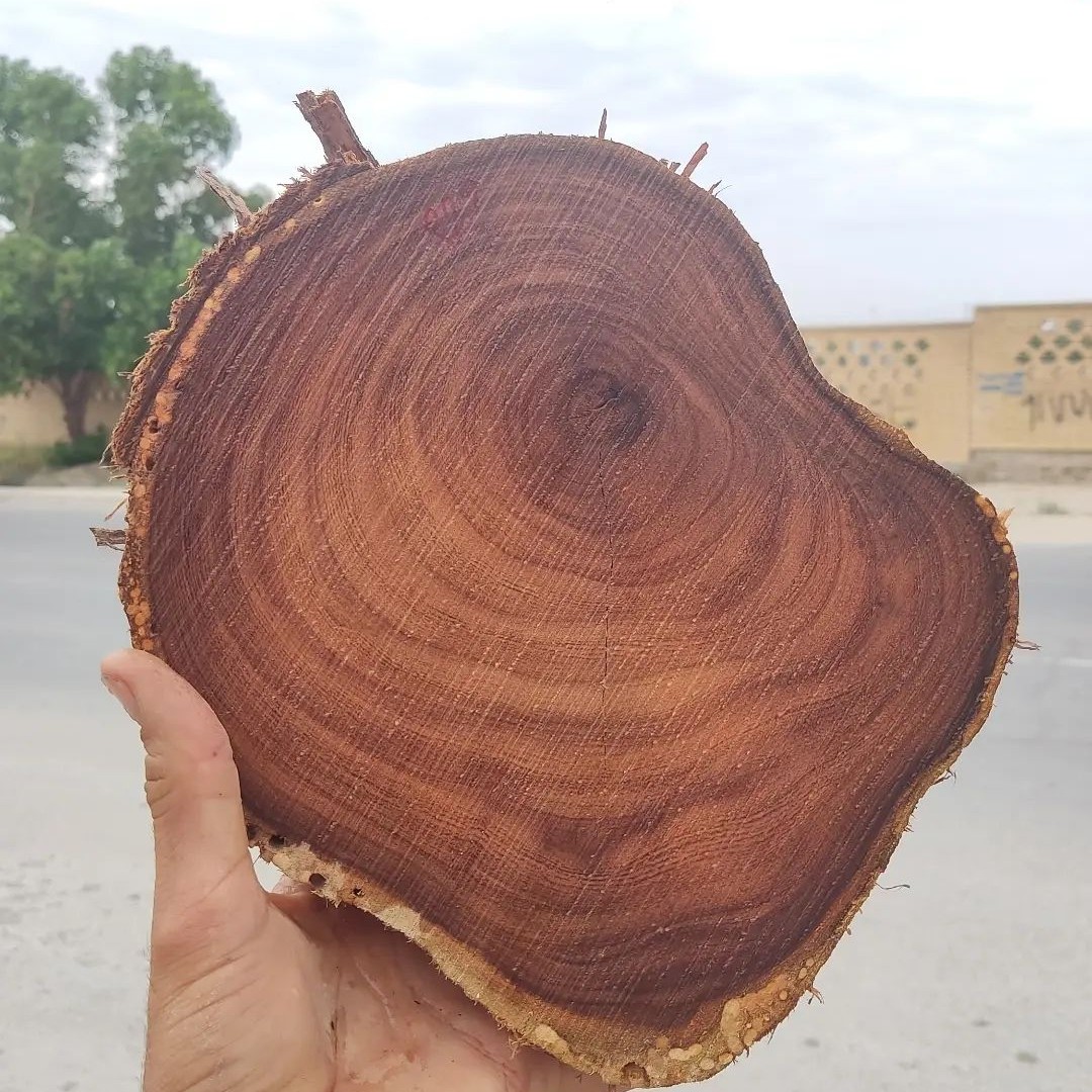 کالباسی کهور