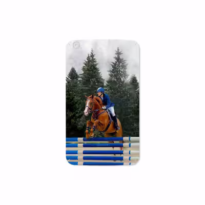 برچسب پوششی ماهوت مدل Equestrianism مناسب برای تبلت سامسونگ Galaxy Tab 3 8.0 2013 T310