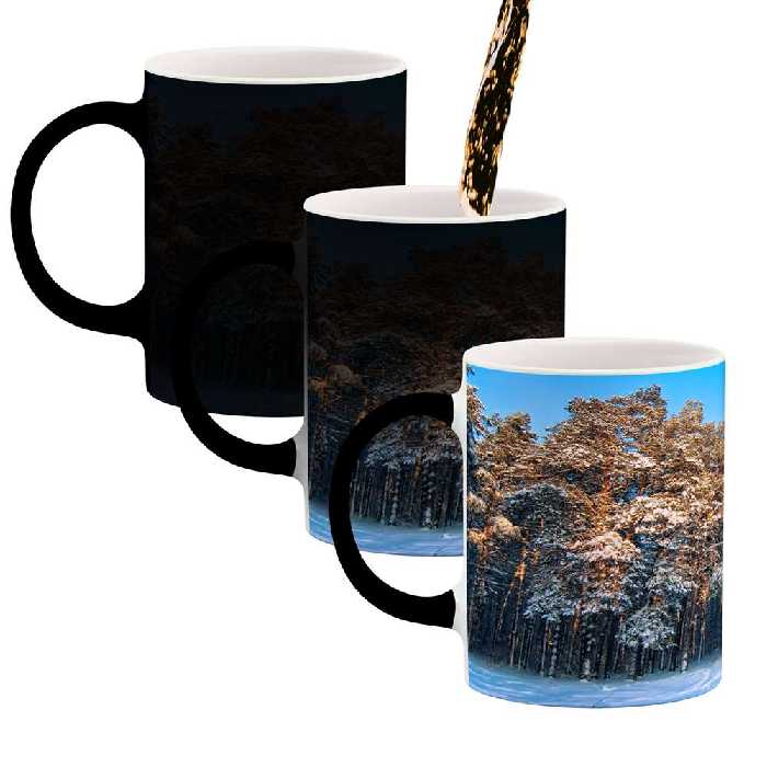 ماگ حرارتی کاکتی طرح منظره برفی مدل mgh15052