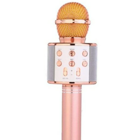 اسپیکر میکروفن WS858