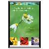 کتاب The Psychopharmacology of Herbal Medicine: Plant Drugs That Alter Mind, Brain, and Behavior اثر Marcello Spinella انتشارات مؤلفین طلایی