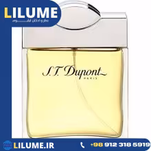 عطر ادکلن اس تی دوپونت پور هوم 100 میل مردانه