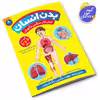 کتاب بدن انسان اثر کتی استوکس انتشارات کودکیار