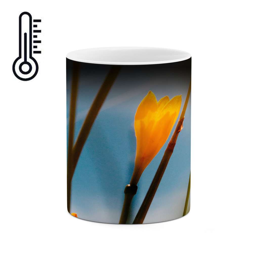 ماگ حرارتی کاکتی طرح گل مدل mgh16150