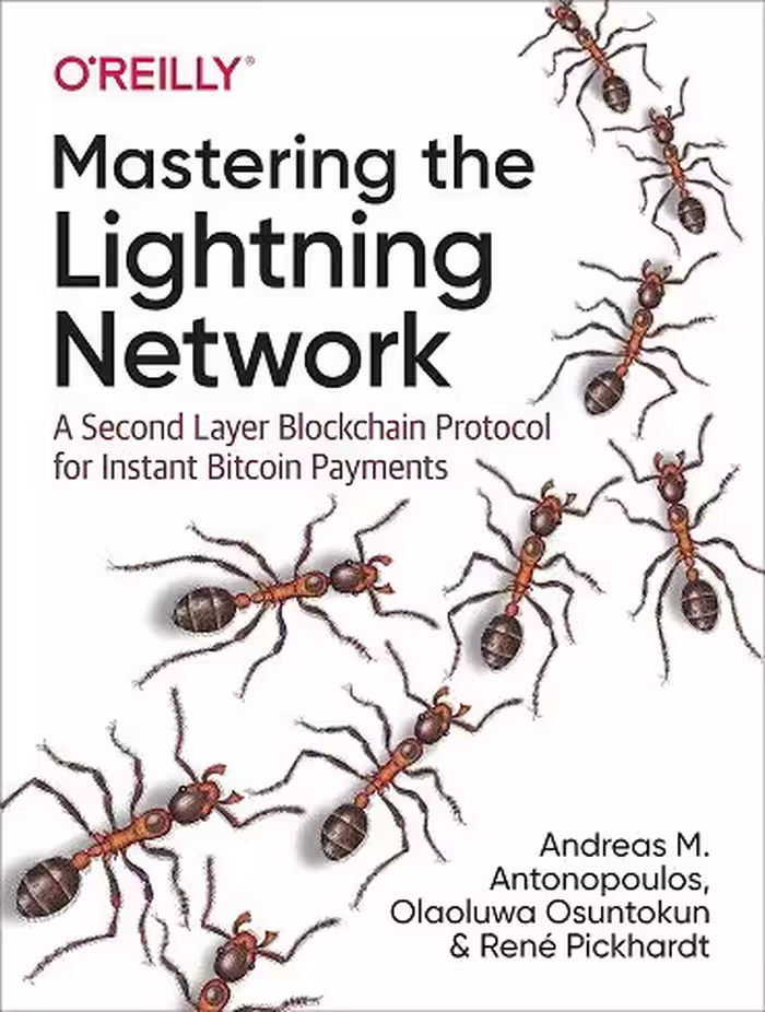 کتاب Mastering the Lightning Network: A Second Layer Blockchain Protocol for Instant Bitcoin Payments (زبان اصلی)