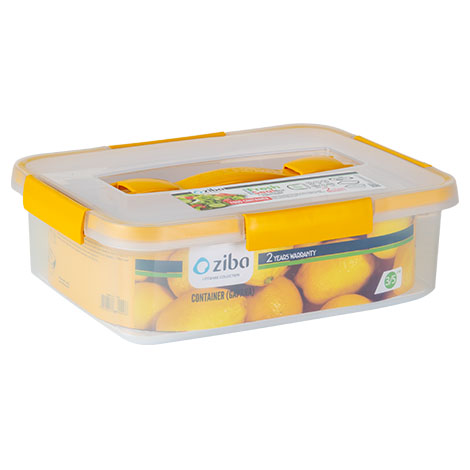 ظرف فریزر مستطیل 3.5 لیتر گاپانا زیبا