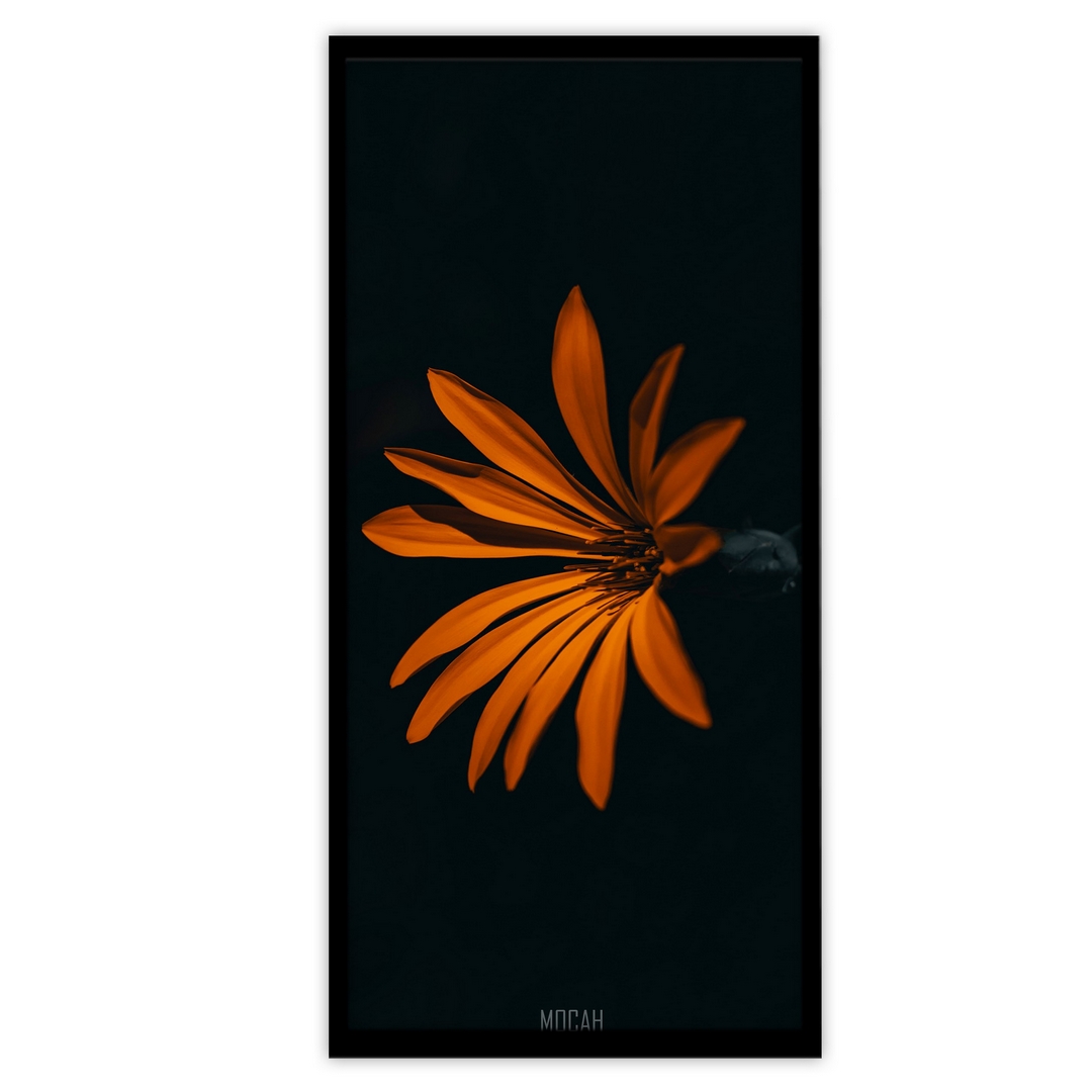 تابلو بکلیت طرح عکاسی هنری طبیعت و گل مدل B-S3059