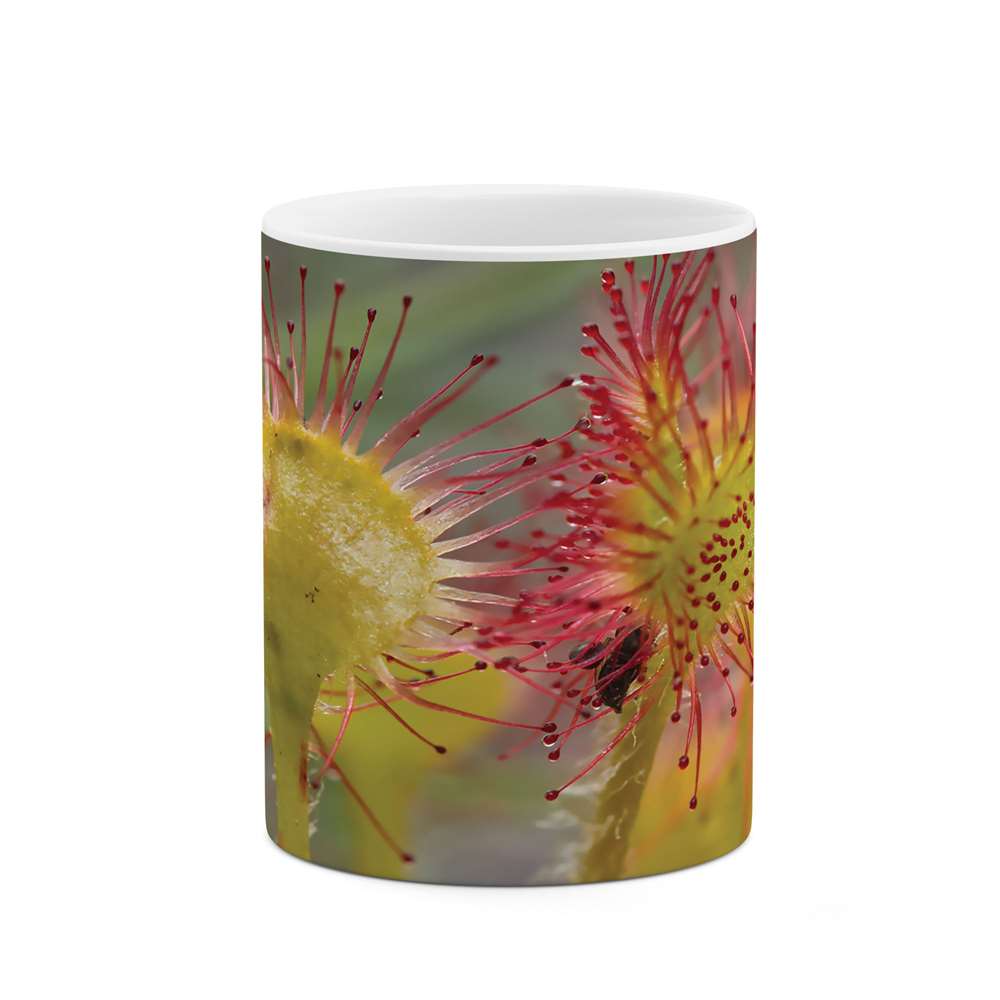 ماگ طرح گل مدل  04237