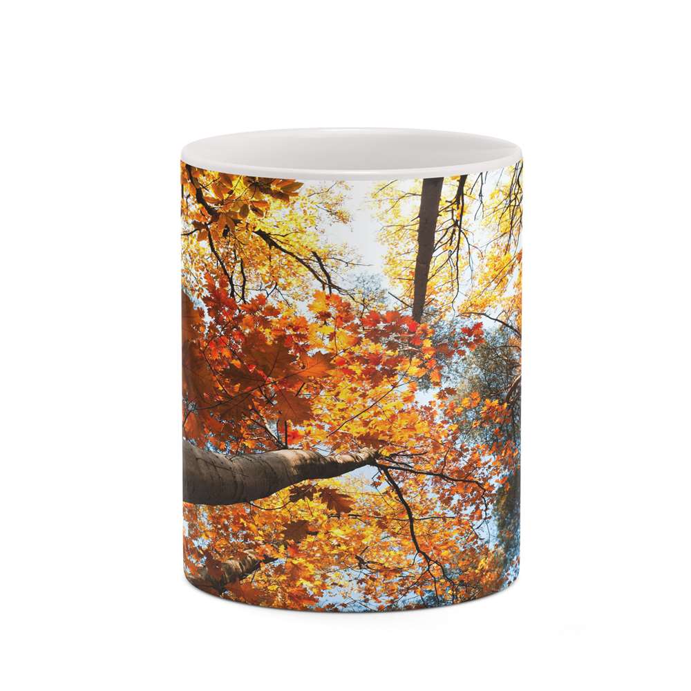 ماگ کاکتی طرح منظره پاییزی مدل mgh18567