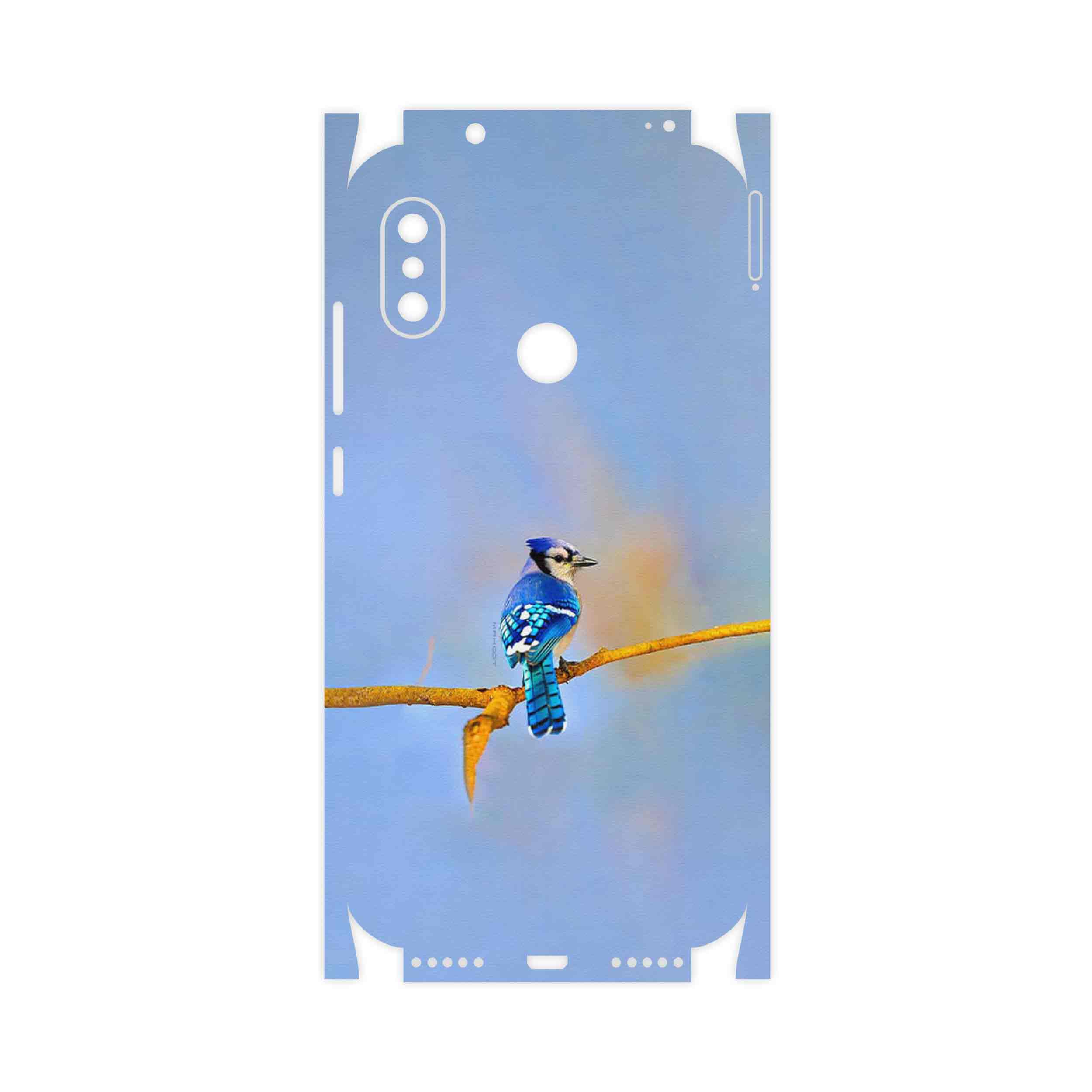 برچسب پوششی ماهوت مدل Cyanocitta cristata-FullSkin مناسب برای گوشی موبایل شیائومی Redmi Note 6 Pro