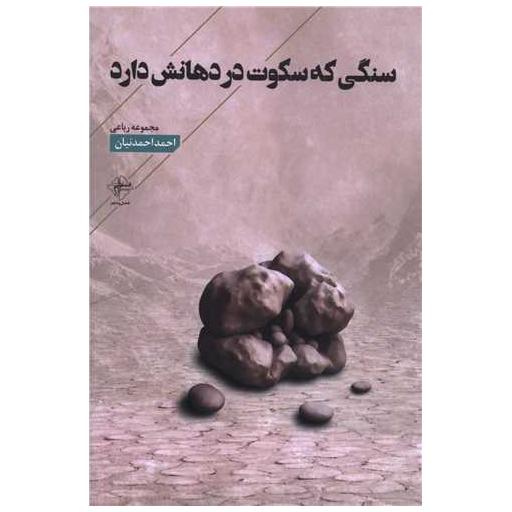 کتاب سنگی که سکوت در دهانش دارد اثر احمد احمدنیان