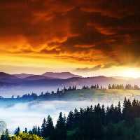 خرید و دانلود عکس Nature-Part-6 کد 37085 | پیک فاکس | Pic Fox