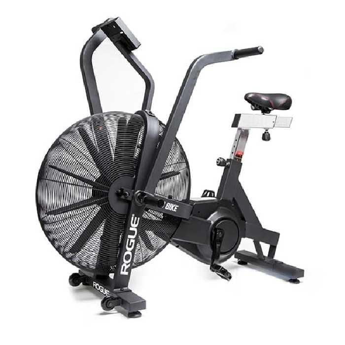 ایر بایک روگ