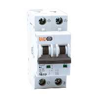 کلید مینیاتوری 2 پل 2 آمپر RB-MD-2P-B2-6KA رعد