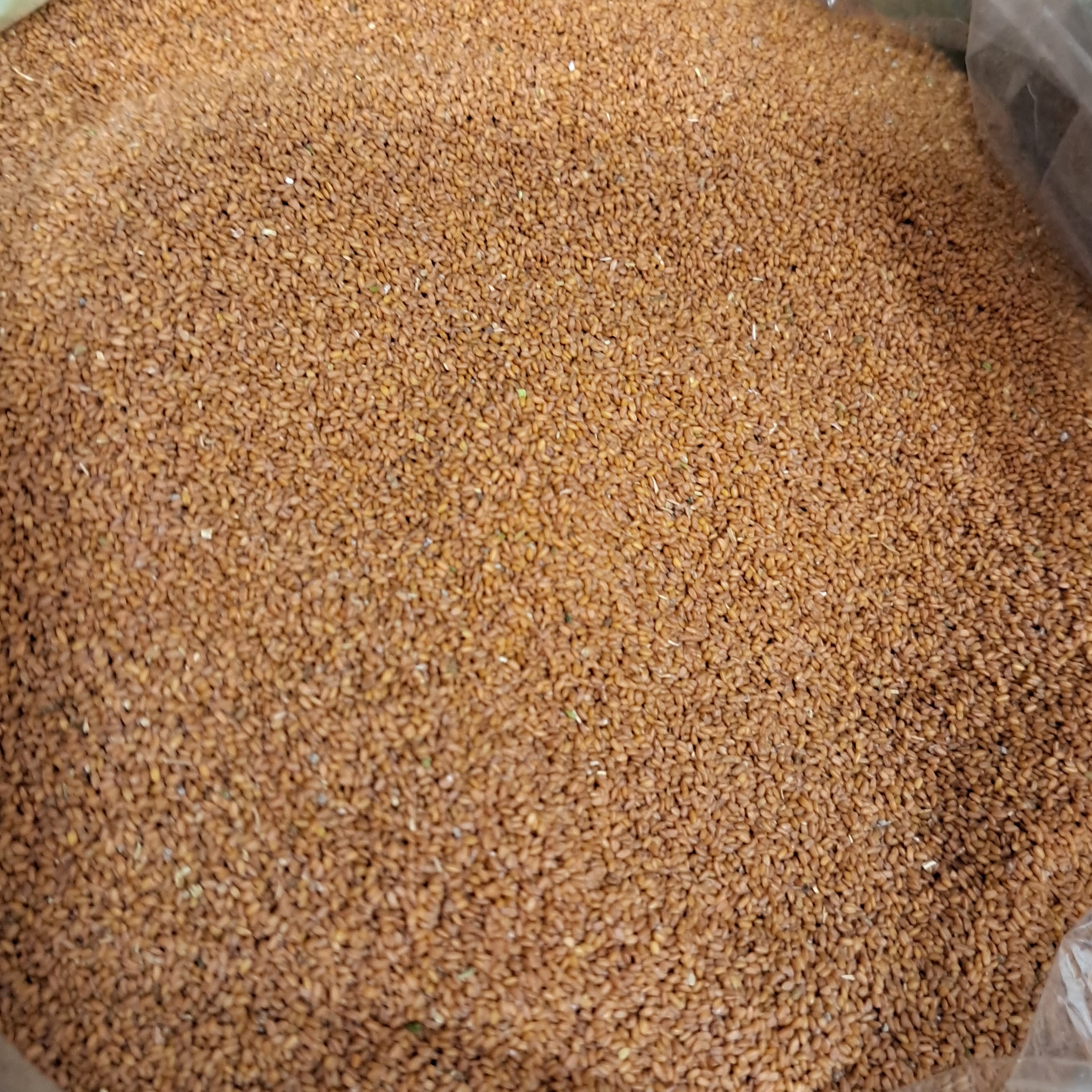 خاکشیر همدان( یک کیلویی) بسیار نرم وبا کیفیت 