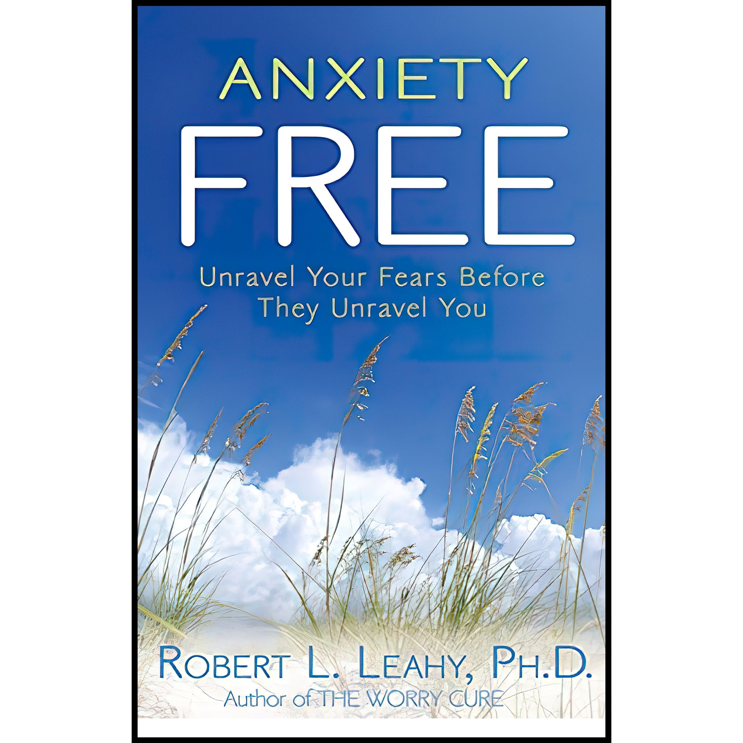 کتاب زبان اصلی Anxiety Free اثر Robert L Leahy انتشارات Hay House