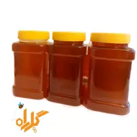 عسل طبیعی داماش (خریدبدون واسطه از زنبوردار)