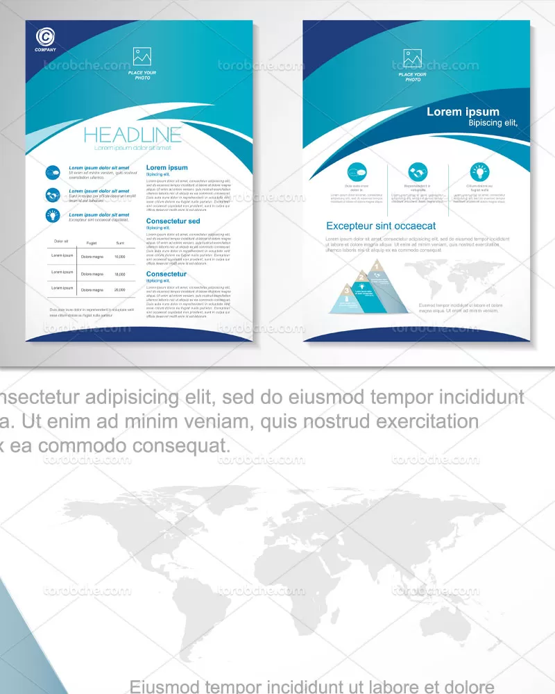 وکتور بروشور خلاقانه A4 | گرافیک با طعم تربچه