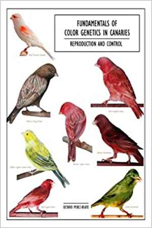 [PDF] دانلود کتاب Fundamentals. Of Color Genetics In Canaries. Reproduction And Control, 2008