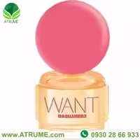 عطر ادکلن دسکوارد2 وانت پینک جینجر 100 میل زنانه
