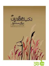 تکنیک های مضرابی برای سنتور محمد سلیمانیان نای و نی - سیب ترش - SibTorsh