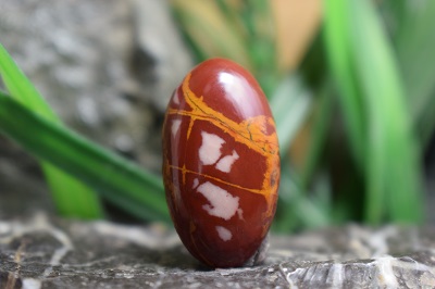 نورینا جاسپر