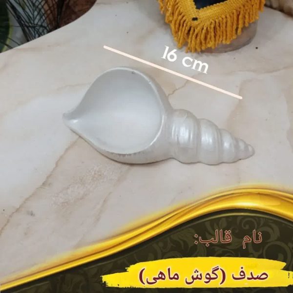 قالب صدف (گوش ماهی)