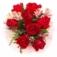 خرید و دانلود عکس Flower-Part-2 کد 17757 | پیک فاکس | Pic Fox