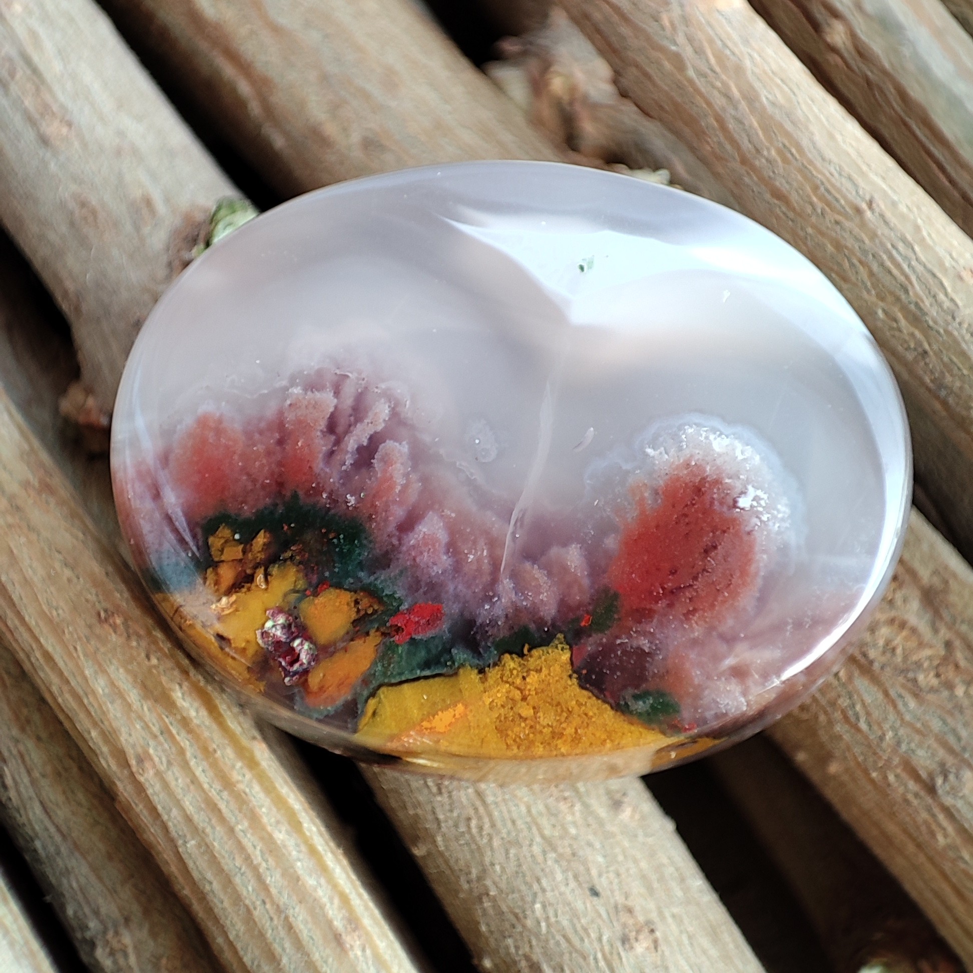 شجر ناب مینیاتوری هفت رنگ سه قلعه 