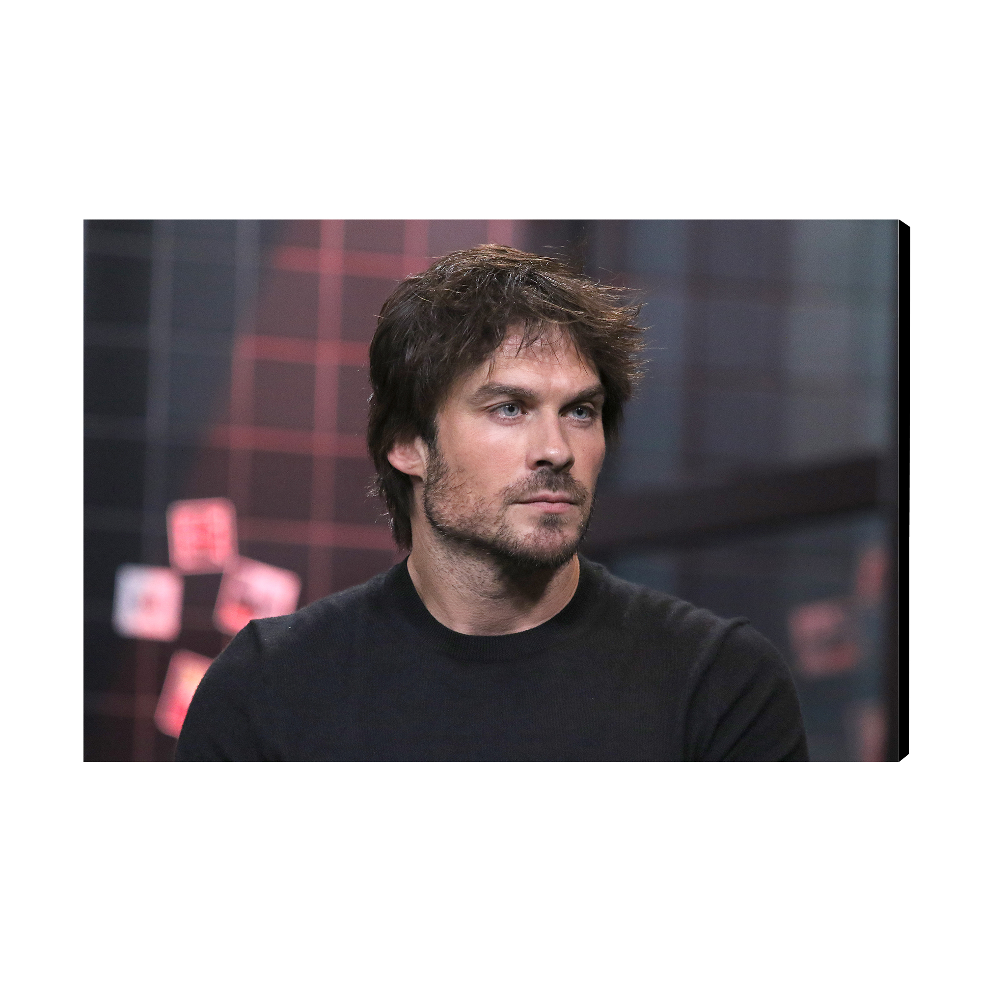 تابلو شاسی Ian Joseph Somerhalder مدل As1317