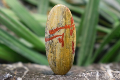 سونورا جاسپر