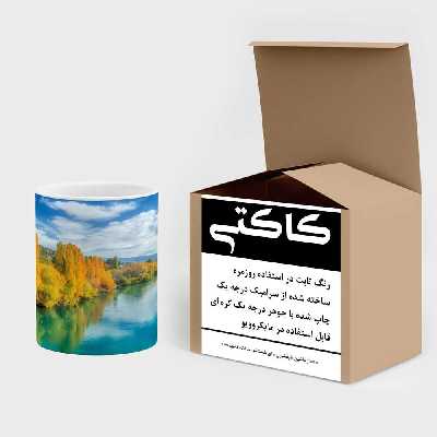 ماگ کاکتی طرح منظره مدل mgs15211