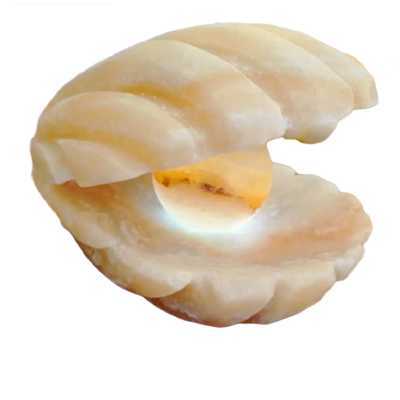 آباژور سنگ نمک مدل صدف sadaf01