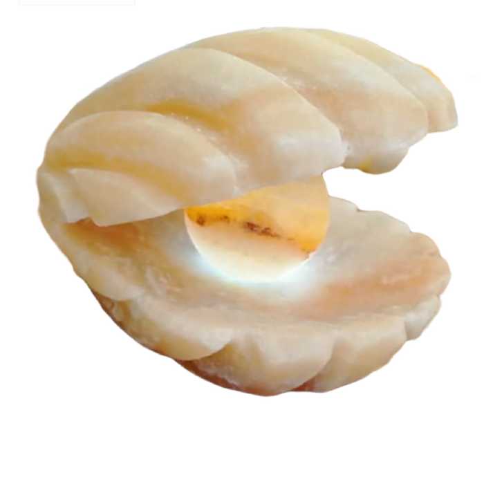 آباژور سنگ نمک مدل صدف sadaf01