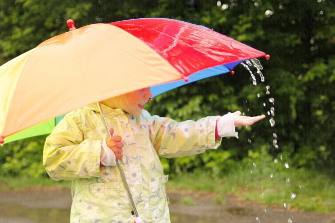 خرید و دانلود عکس Rain کد 41841 | پیک فاکس | Pic Fox